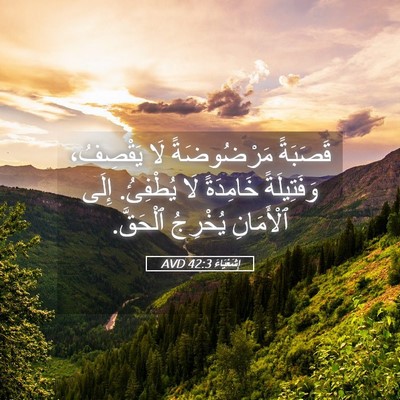 Picture 05 - إِشَعْيَاءَ 42:3 AVD - قَصَبَةً مَرْضُوضَةً لَا - Bible Verse Picture
