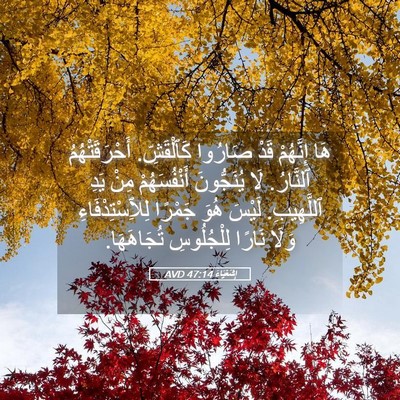 Picture 05 - إِشَعْيَاءَ 47:14 AVD - هَا إِنَّهُمْ قَدْ صَارُوا - Bible Verse Picture
