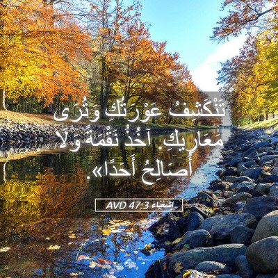 Picture 05 - إِشَعْيَاءَ 47:3 AVD - تَنْكَشِفُ عَوْرَتُكِ - Bible Verse Picture