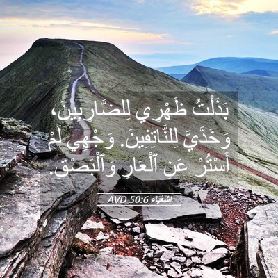 Picture 05 - إِشَعْيَاءَ 50:6 AVD - بَذَلْتُ ظَهْرِي - Bible Verse Picture