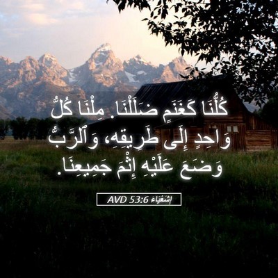 Picture 05 - إِشَعْيَاءَ 53:6 AVD - كُلُّنَا كَغَنَمٍ - Bible Verse Picture