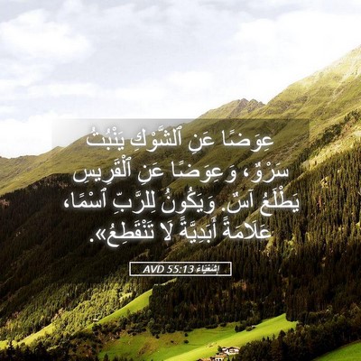 Picture 05 - إِشَعْيَاءَ 55:13 AVD - عِوَضًا عَنِ ٱلشَّوْكِ - Bible Verse Picture