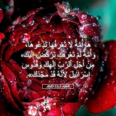 Picture 05 - إِشَعْيَاءَ 55:5 AVD - هَا أُمَّةٌ لَا - Bible Verse Picture