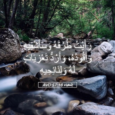 Picture 05 - إِشَعْيَاءَ 57:18 AVD - رَأَيْتُ طُرُقَهُ - Bible Verse Picture