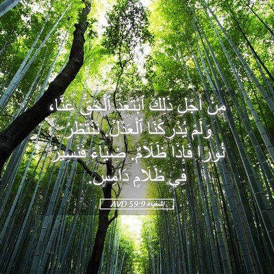 Picture 05 - إِشَعْيَاءَ 59:9 AVD - مِنْ أَجْلِ ذَلِكَ - Bible Verse Picture
