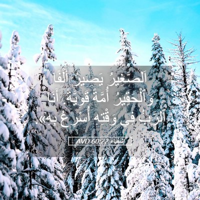Picture 05 - إِشَعْيَاءَ 60:22 AVD - اَلصَّغِيرُ يَصِيرُ - Bible Verse Picture