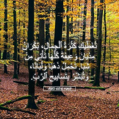 Picture 05 - إِشَعْيَاءَ 60:6 AVD - تُغَطِّيكِ كَثْرَةُ - Bible Verse Picture