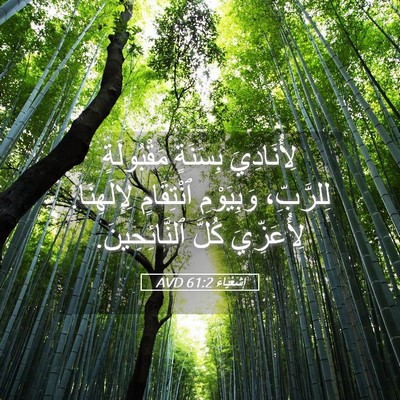 Picture 05 - إِشَعْيَاءَ 61:2 AVD - لِأُنَادِيَ بِسَنَةٍ - Bible Verse Picture