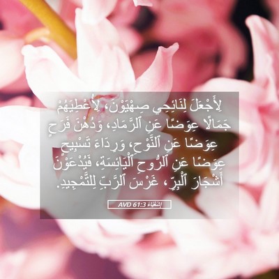Picture 05 - إِشَعْيَاءَ 61:3 AVD - لِأَجْعَلَ لِنَائِحِي - Bible Verse Picture