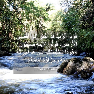Picture 05 - إِشَعْيَاءَ 62:11 AVD - هُوَذَا ٱلرَّبُّ قَدْ - Bible Verse Picture