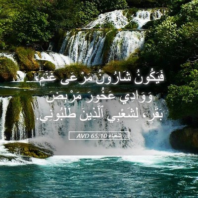 Picture 05 - إِشَعْيَاءَ 65:10 AVD - فَيَكُونُ شَارُونُ - Bible Verse Picture