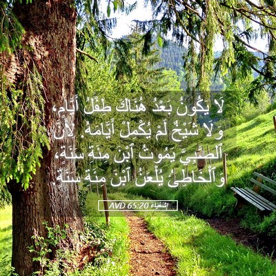 Picture 05 - إِشَعْيَاءَ 65:20 AVD - لَا يَكُونُ بَعْدُ هُنَاكَ - Bible Verse Picture
