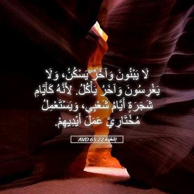 Picture 05 - إِشَعْيَاءَ 65:22 AVD - لَا يَبْنُونَ وَآخَرُ - Bible Verse Picture