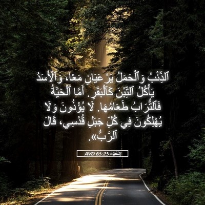 Picture 05 - إِشَعْيَاءَ 65:25 AVD - ٱلذِّئْبُ وَٱلْحَمَلُ - Bible Verse Picture