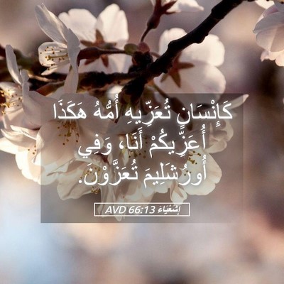 Picture 05 - إِشَعْيَاءَ 66:13 AVD - كَإِنْسَانٍ تُعَزِّيهِ - Bible Verse Picture