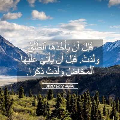 Picture 05 - إِشَعْيَاءَ 66:7 AVD - قَبْلَ أَنْ يَأْخُذَهَا - Bible Verse Picture