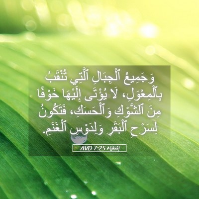 Picture 05 - إِشَعْيَاءَ 7:25 AVD - وَجَمِيعُ ٱلْجِبَالِ - Bible Verse Picture