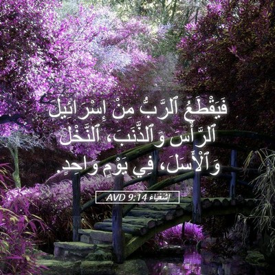Picture 05 - إِشَعْيَاءَ 9:14 AVD - فَيَقْطَعُ ٱلرَّبُّ مِنْ - Bible Verse Picture