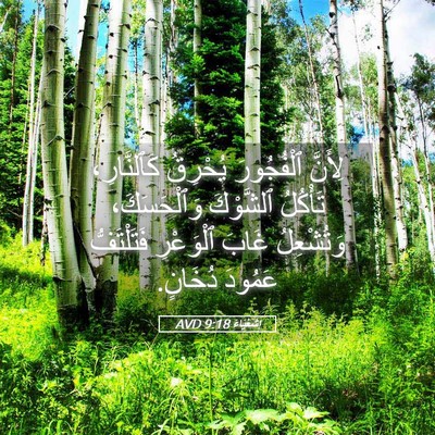 Picture 05 - إِشَعْيَاءَ 9:18 AVD - لِأَنَّ ٱلْفُجُورَ - Bible Verse Picture