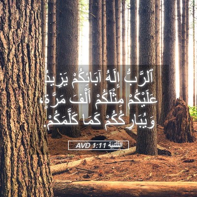 Picture 05 - اَلتَّثْنِيَة 1:11 AVD - ٱلرَّبُّ إِلَهُ - Bible Verse Picture