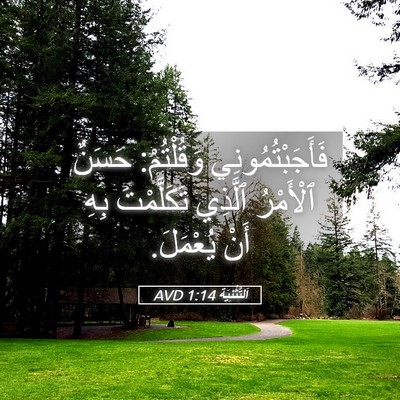 Picture 05 - اَلتَّثْنِيَة 1:14 AVD - فَأَجَبْتُمُونِي - Bible Verse Picture