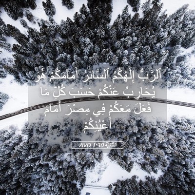 Picture 05 - اَلتَّثْنِيَة 1:30 AVD - ٱلرَّبُّ إِلَهُكُمُ - Bible Verse Picture