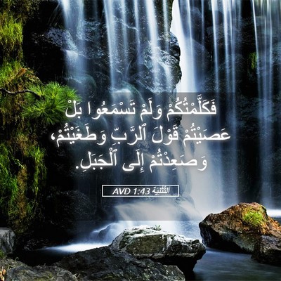 Picture 05 - اَلتَّثْنِيَة 1:43 AVD - فَكَلَّمْتُكُمْ وَلَمْ - Bible Verse Picture