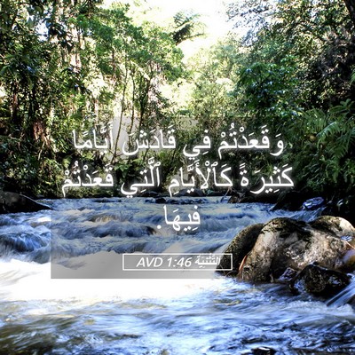 Picture 05 - اَلتَّثْنِيَة 1:46 AVD - وَقَعَدْتُمْ فِي قَادَشَ - Bible Verse Picture