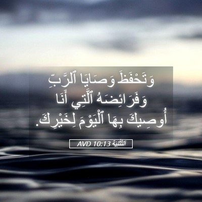 Picture 05 - اَلتَّثْنِيَة 10:13 AVD - وَتَحْفَظَ وَصَايَا - Bible Verse Picture