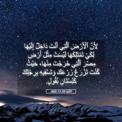 Picture 05 - اَلتَّثْنِيَة 11:10 AVD - لِأَنَّ ٱلْأَرْضَ ٱلَّتِي - Bible Verse Picture