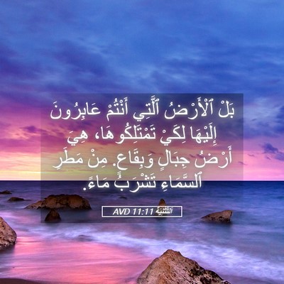 Picture 05 - اَلتَّثْنِيَة 11:11 AVD - بَلْ ٱلْأَرْضُ ٱلَّتِي - Bible Verse Picture