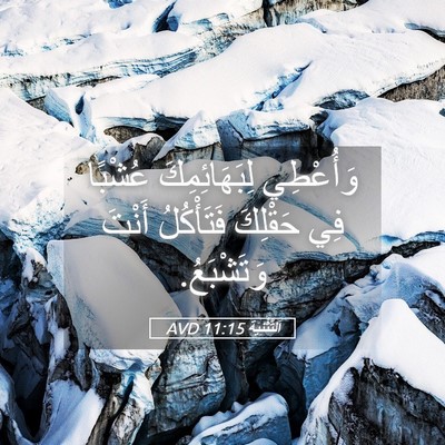 Picture 05 - اَلتَّثْنِيَة 11:15 AVD - وَأُعْطِي لِبَهَائِمِكَ - Bible Verse Picture