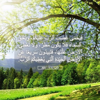 Picture 05 - اَلتَّثْنِيَة 11:17 AVD - فَيَحْمَى غَضَبُ ٱلرَّبِّ - Bible Verse Picture