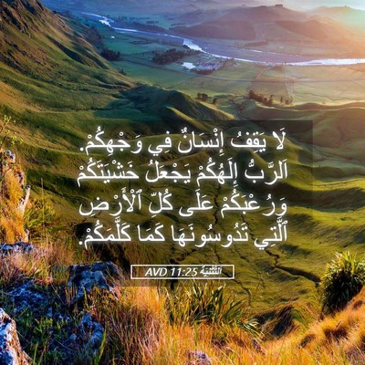 Picture 05 - اَلتَّثْنِيَة 11:25 AVD - لَا يَقِفُ إِنْسَانٌ فِي - Bible Verse Picture