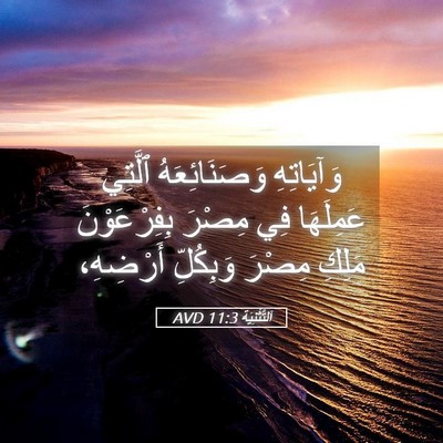 Picture 05 - اَلتَّثْنِيَة 11:3 AVD - وَآيَاتِهِ وَصَنَائِعَهُ - Bible Verse Picture
