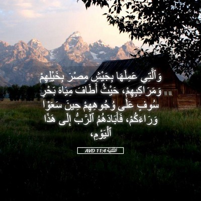 Picture 05 - اَلتَّثْنِيَة 11:4 AVD - وَٱلَّتِي عَمِلَهَا - Bible Verse Picture