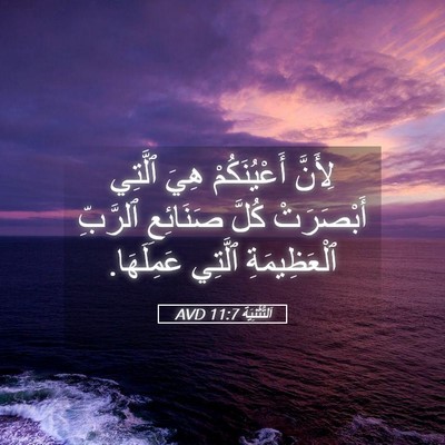 Picture 05 - اَلتَّثْنِيَة 11:7 AVD - لِأَنَّ أَعْيُنَكُمْ هِيَ - Bible Verse Picture