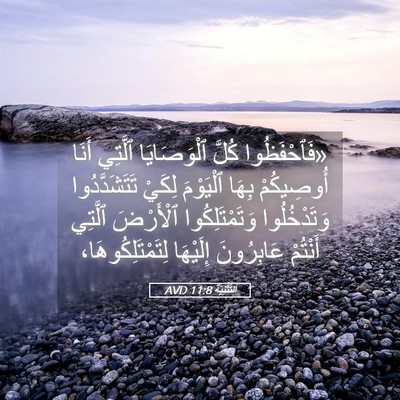 Picture 05 - اَلتَّثْنِيَة 11:8 AVD - «فَٱحْفَظُوا كُلَّ - Bible Verse Picture