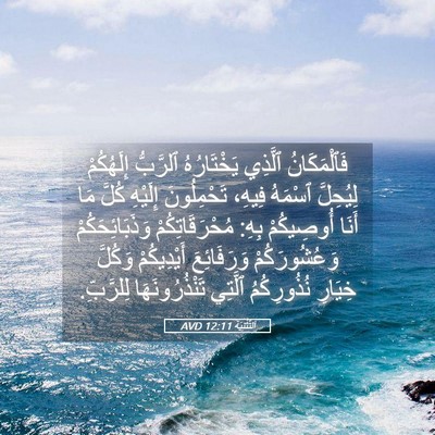 Picture 05 - اَلتَّثْنِيَة 12:11 AVD - فَٱلْمَكَانُ ٱلَّذِي - Bible Verse Picture