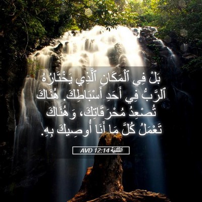 Picture 05 - اَلتَّثْنِيَة 12:14 AVD - بَلْ فِي ٱلْمَكَانِ - Bible Verse Picture