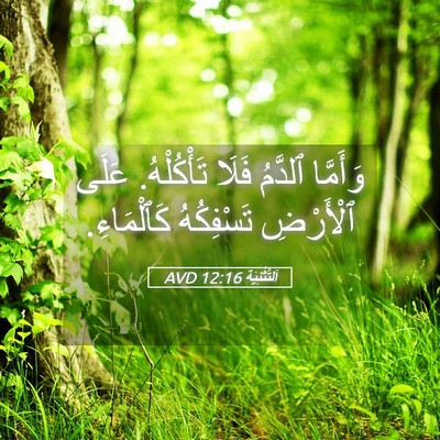 Picture 05 - اَلتَّثْنِيَة 12:16 AVD - وَأَمَّا ٱلدَّمُ فَلَا - Bible Verse Picture