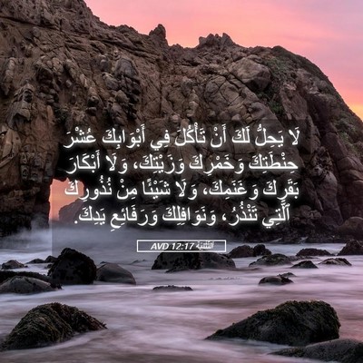 Picture 05 - اَلتَّثْنِيَة 12:17 AVD - لَا يَحِلُّ لَكَ أَنْ - Bible Verse Picture
