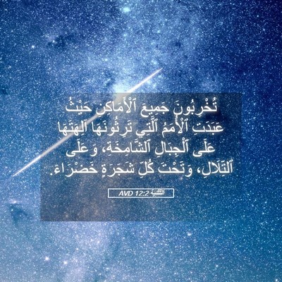 Picture 05 - اَلتَّثْنِيَة 12:2 AVD - تُخْرِبُونَ جَمِيعَ - Bible Verse Picture
