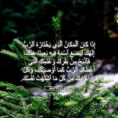 Picture 05 - اَلتَّثْنِيَة 12:21 AVD - إِذَا كَانَ ٱلْمَكَانُ - Bible Verse Picture