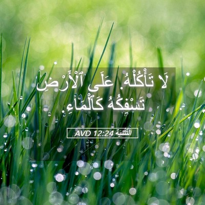 Picture 05 - اَلتَّثْنِيَة 12:24 AVD - لَا تَأْكُلْهُ. عَلَى - Bible Verse Picture