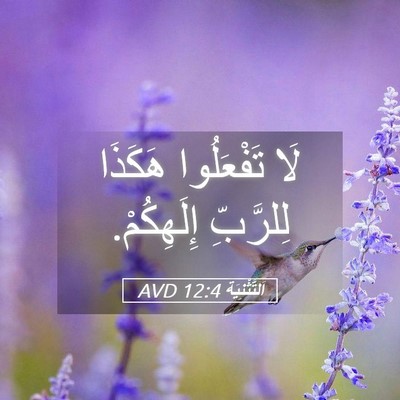 Picture 05 - اَلتَّثْنِيَة 12:4 AVD - لَا تَفْعَلُوا هَكَذَا - Bible Verse Picture