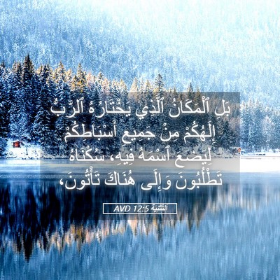 Picture 05 - اَلتَّثْنِيَة 12:5 AVD - بَلِ ٱلْمَكَانُ ٱلَّذِي - Bible Verse Picture