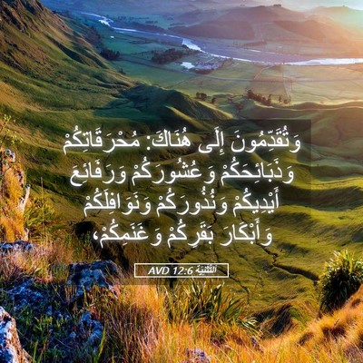 Picture 05 - اَلتَّثْنِيَة 12:6 AVD - وَتُقَدِّمُونَ إِلَى - Bible Verse Picture