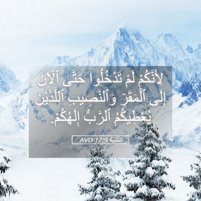 Picture 05 - اَلتَّثْنِيَة 12:9 AVD - لِأَنَّكُمْ لَمْ - Bible Verse Picture