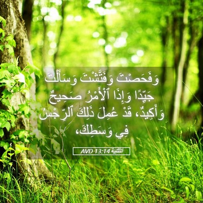 Picture 05 - اَلتَّثْنِيَة 13:14 AVD - وَفَحَصْتَ وَفَتَّشْتَ - Bible Verse Picture